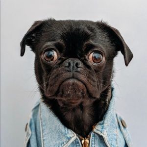 Meet your Posher, Alexander